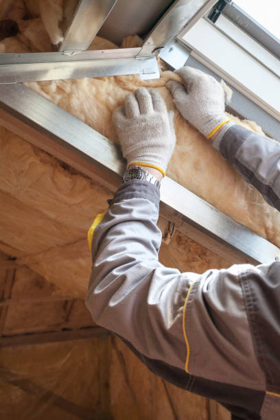 Best Geographic-Specific Insulation Services in Bruce, MS