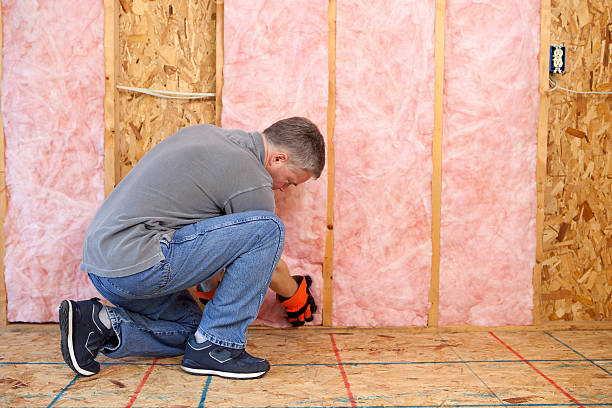 Best Residential Insulation in Bruce, MS