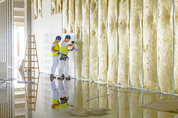 Best Insulation Maintenance and Repair in Bruce, MS